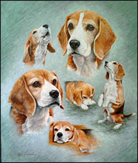 Chanel Beagle